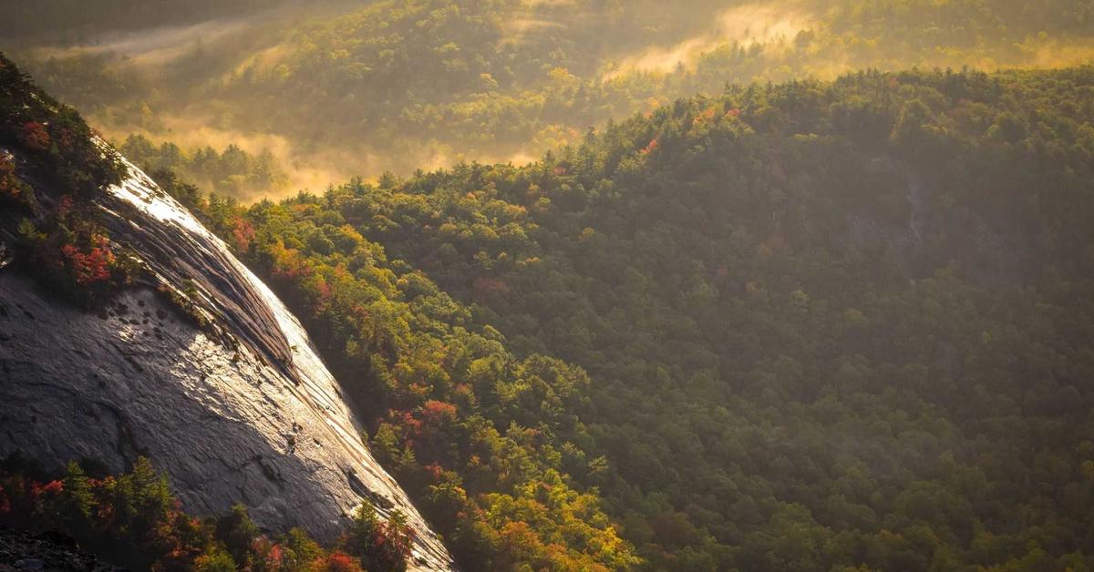 The Anagram of Yourself